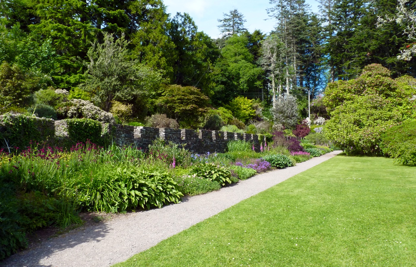 Gepflegter Garten mit Rasenfläche und Bepflanzung